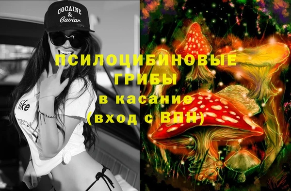 гашиш Касимов