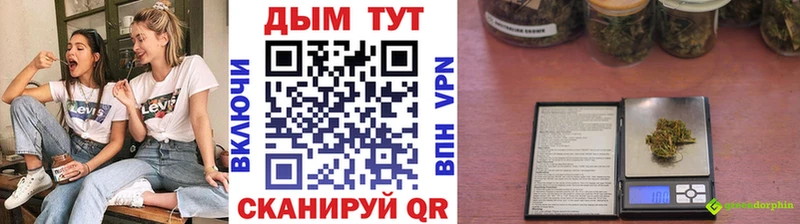 Каннабис гибрид  Сурск 